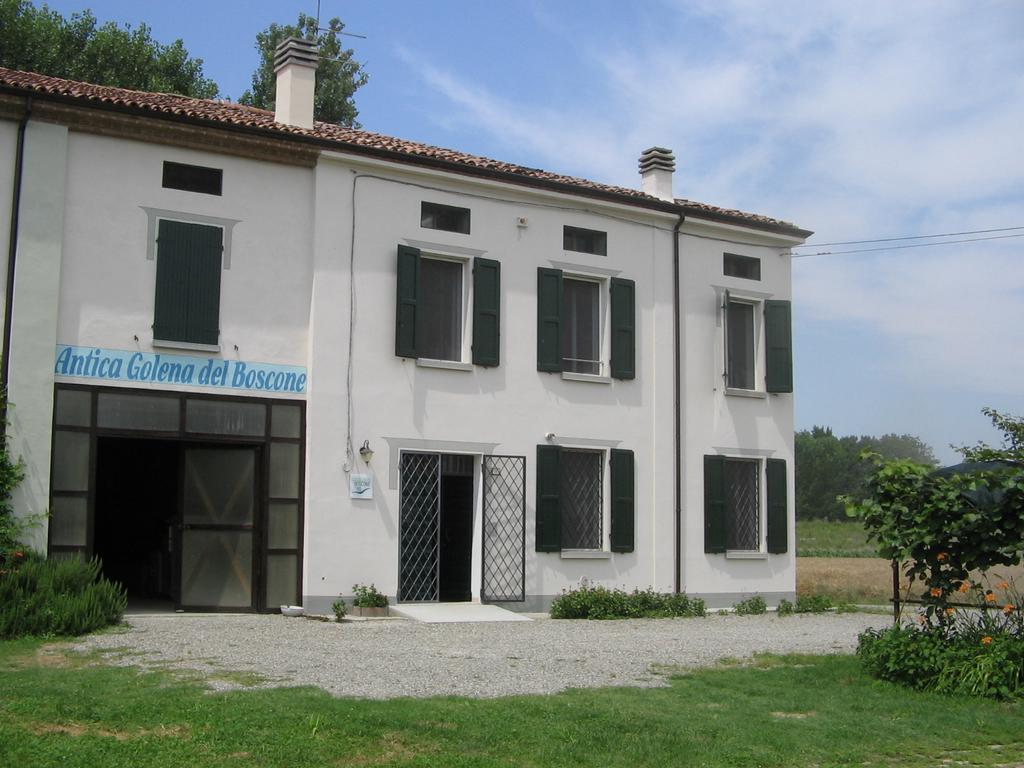 Agriturismo Antica Golena 瓜斯塔拉 外观 照片
